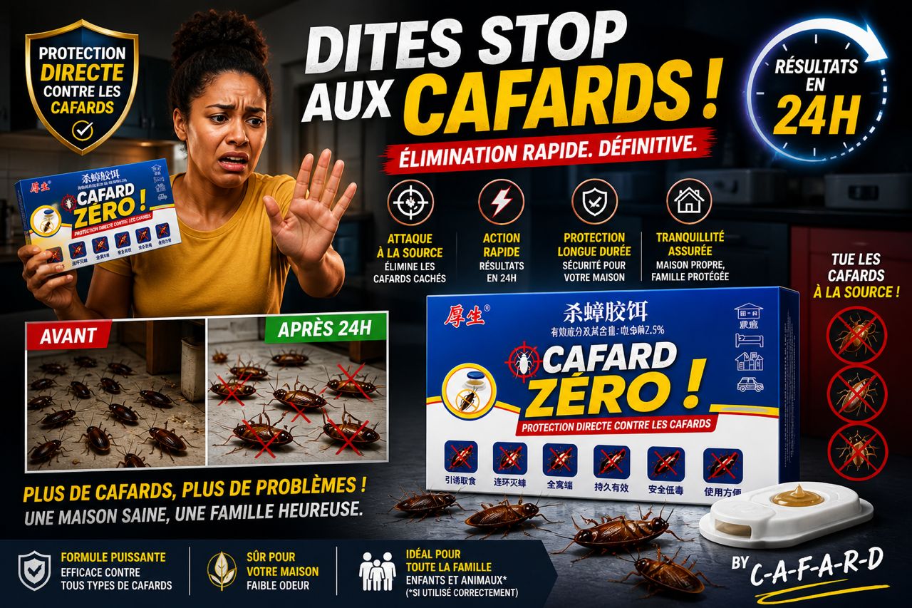 𝗭𝗘𝗥𝗢 𝗖𝗔𝗙𝗔𝗥𝗗 - 𝗭𝗘𝗥𝗢 𝗦𝗔𝗟𝗔𝗠𝗔𝗡𝗗𝗥𝗘 - 𝗠𝗔𝗜𝗦𝗢𝗡 𝗣𝗥𝗢𝗣𝗥𝗘 - 𝙇𝙄𝙑𝙍𝘼𝙄𝙎𝙊𝙉 𝙂𝙍𝘼𝙏𝙐𝙄𝙏𝙀