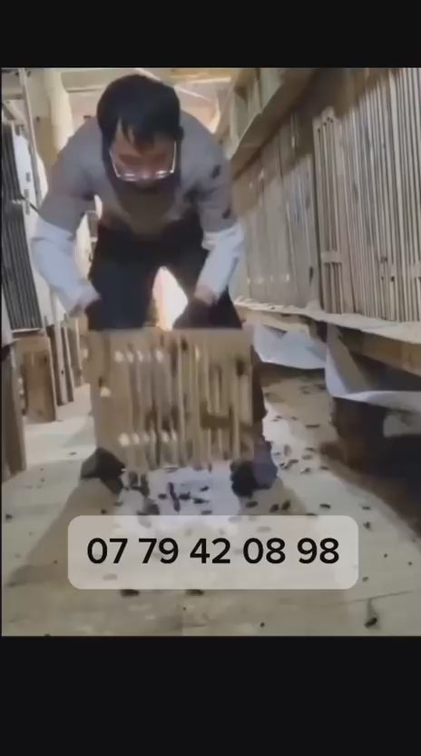 VIDEO 1